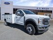  Ford F-550 Chassis