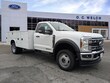 Ford F-550 Chassis