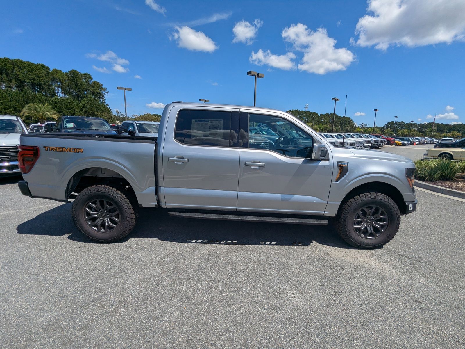 2025 Ford F-150 Tremor photo 3