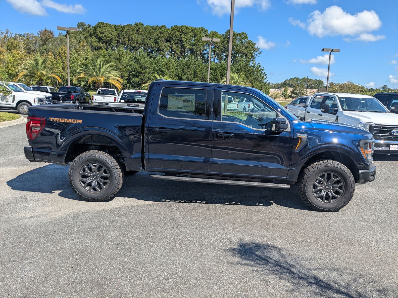2025 Ford F-150 Tremor photo 3