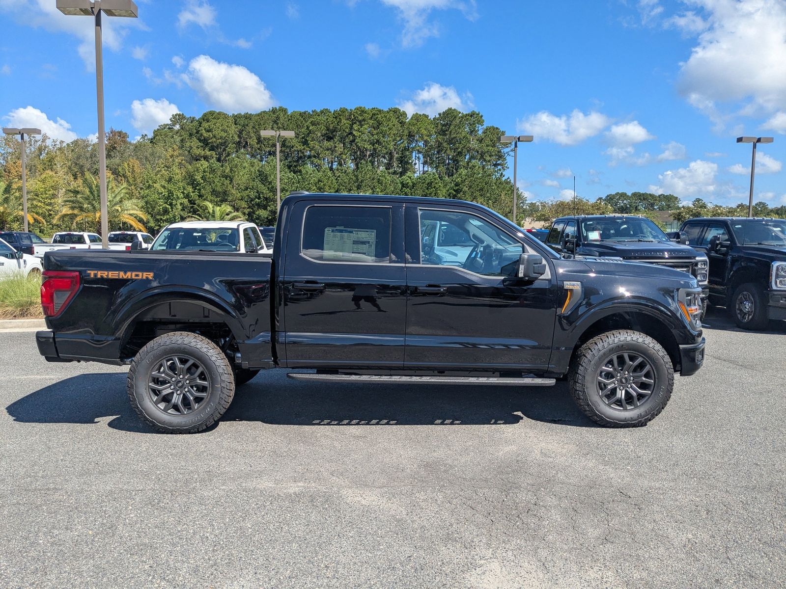 2025 Ford F-150 Tremor photo 3