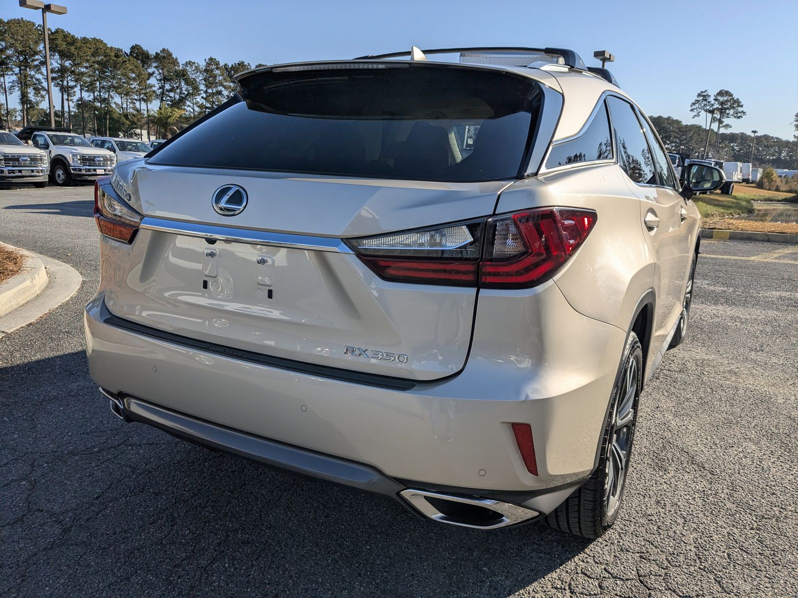 2018 Lexus RX 350 F SPORT photo 4