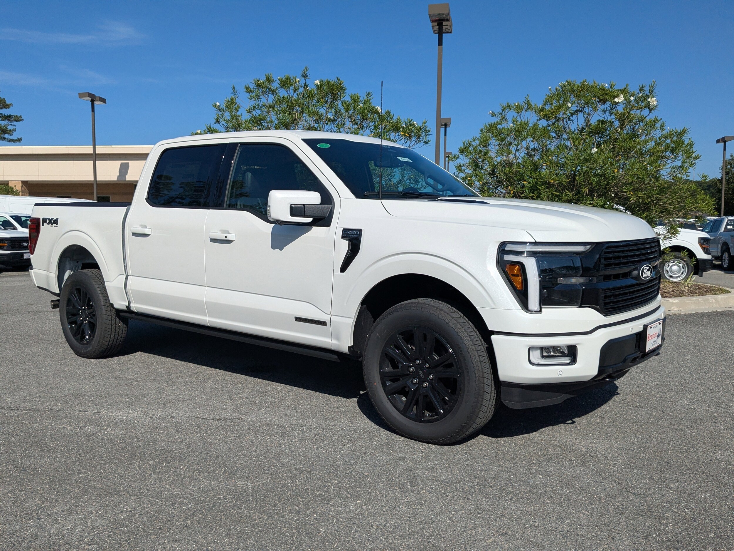 2025 Ford F-150 Platinum photo 2