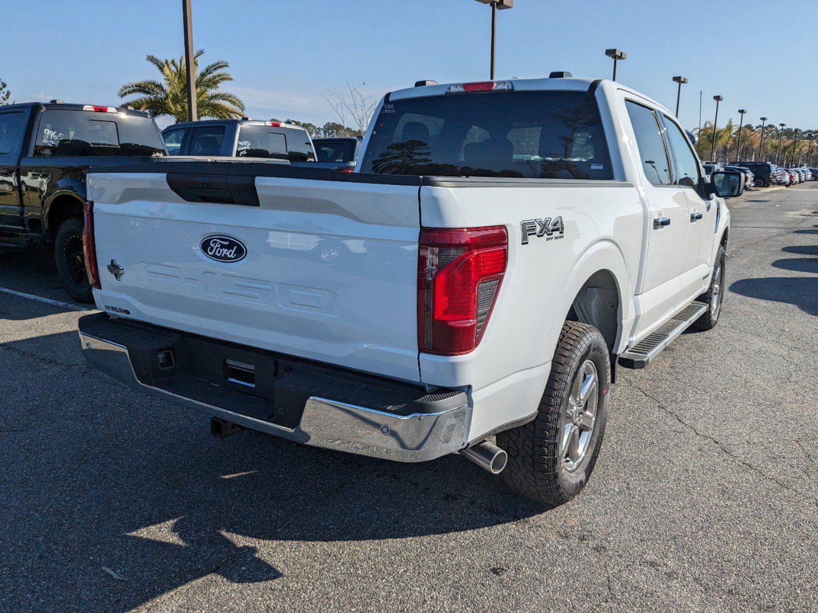 2025 Ford F-150 XLT photo 3