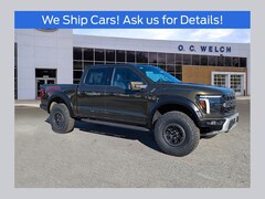 in Hardeeville 2025 Ford F-150 Raptor Truck New