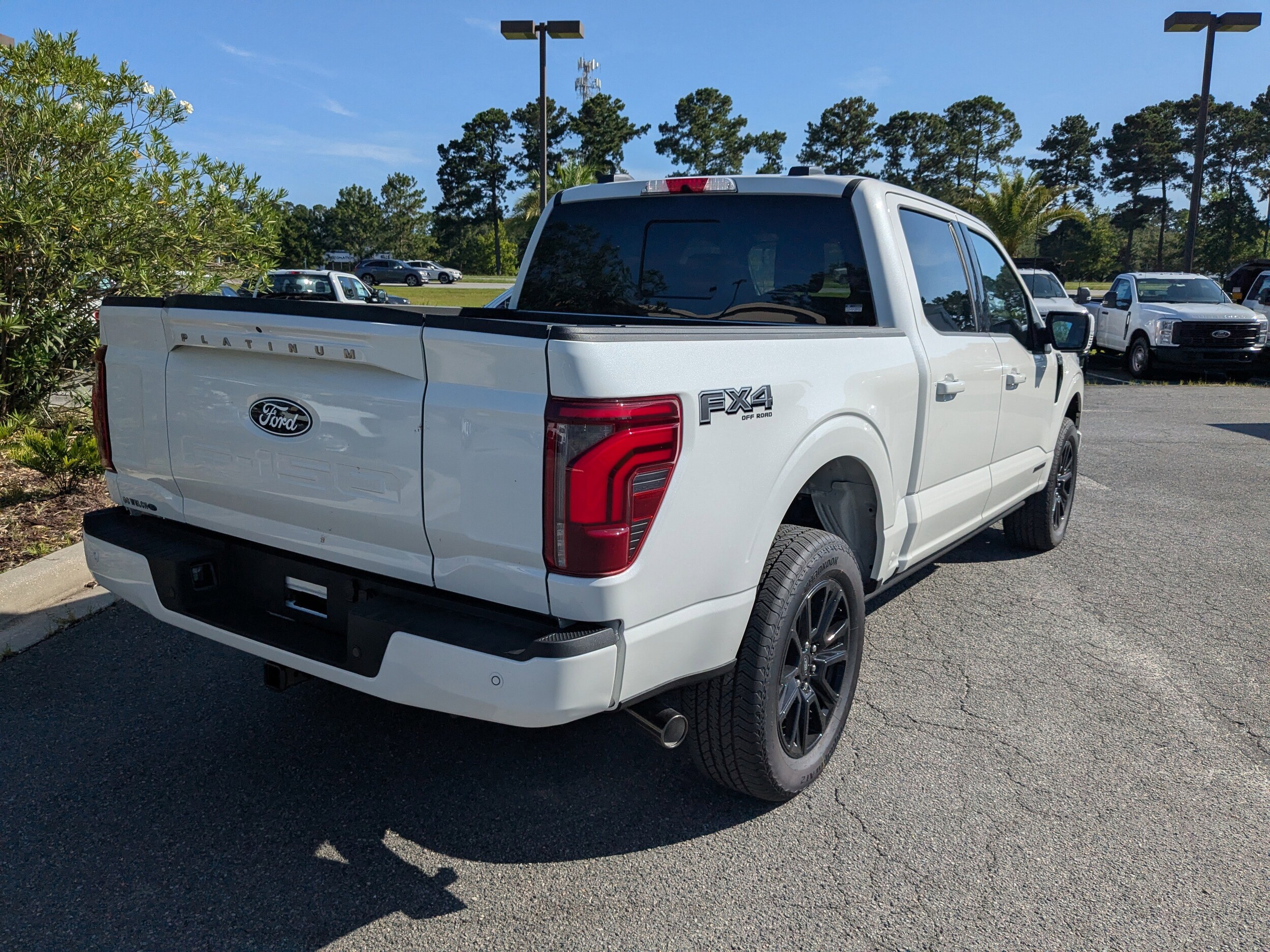 2025 Ford F-150 Platinum photo 3
