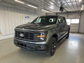 2025 Ford F-150 STX Truck