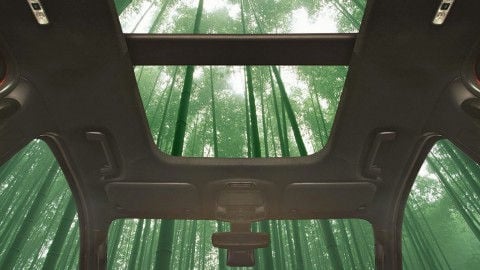 480 × 270