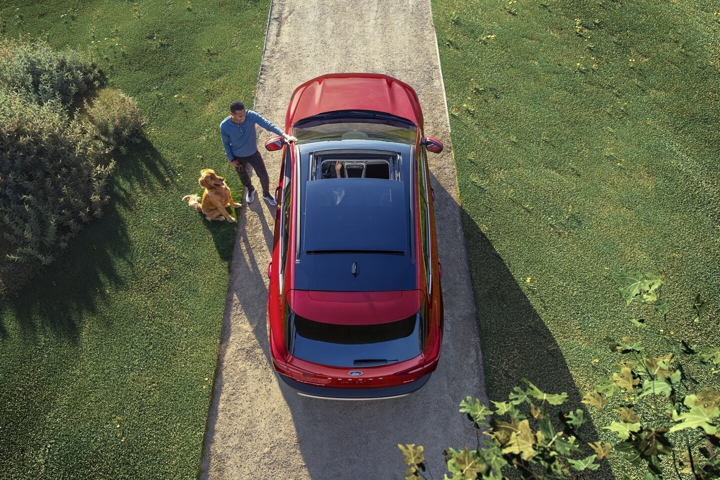 ford%20customers.jpg
