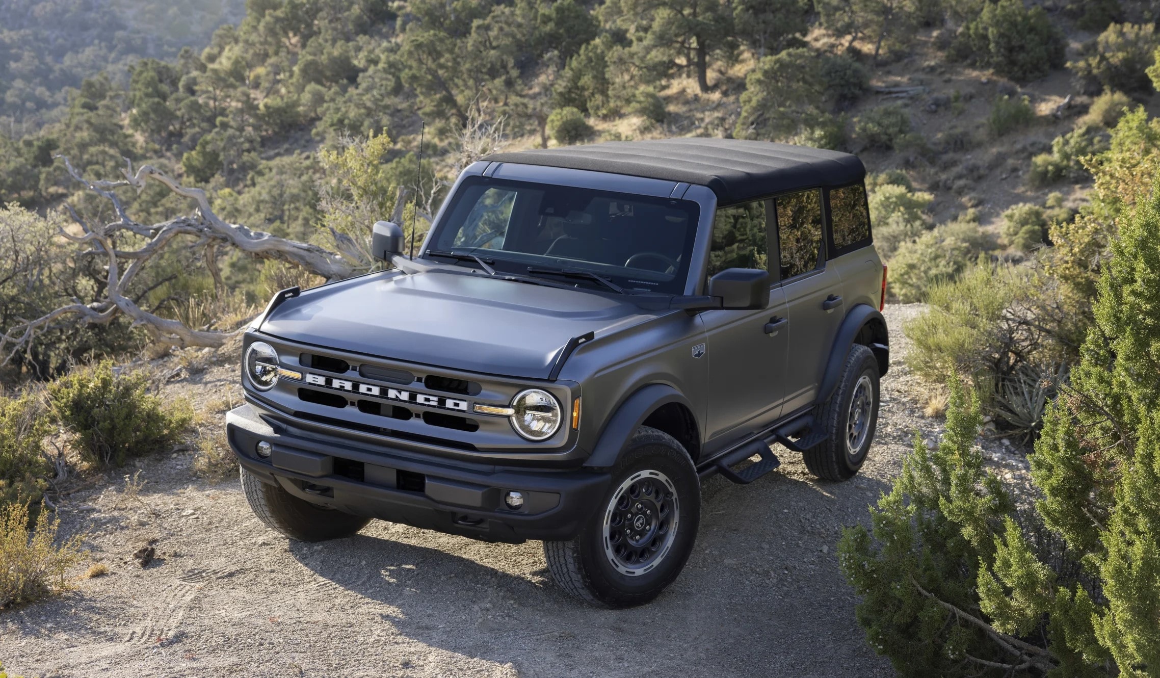 bronco%205.jpg