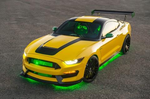 480 × 319