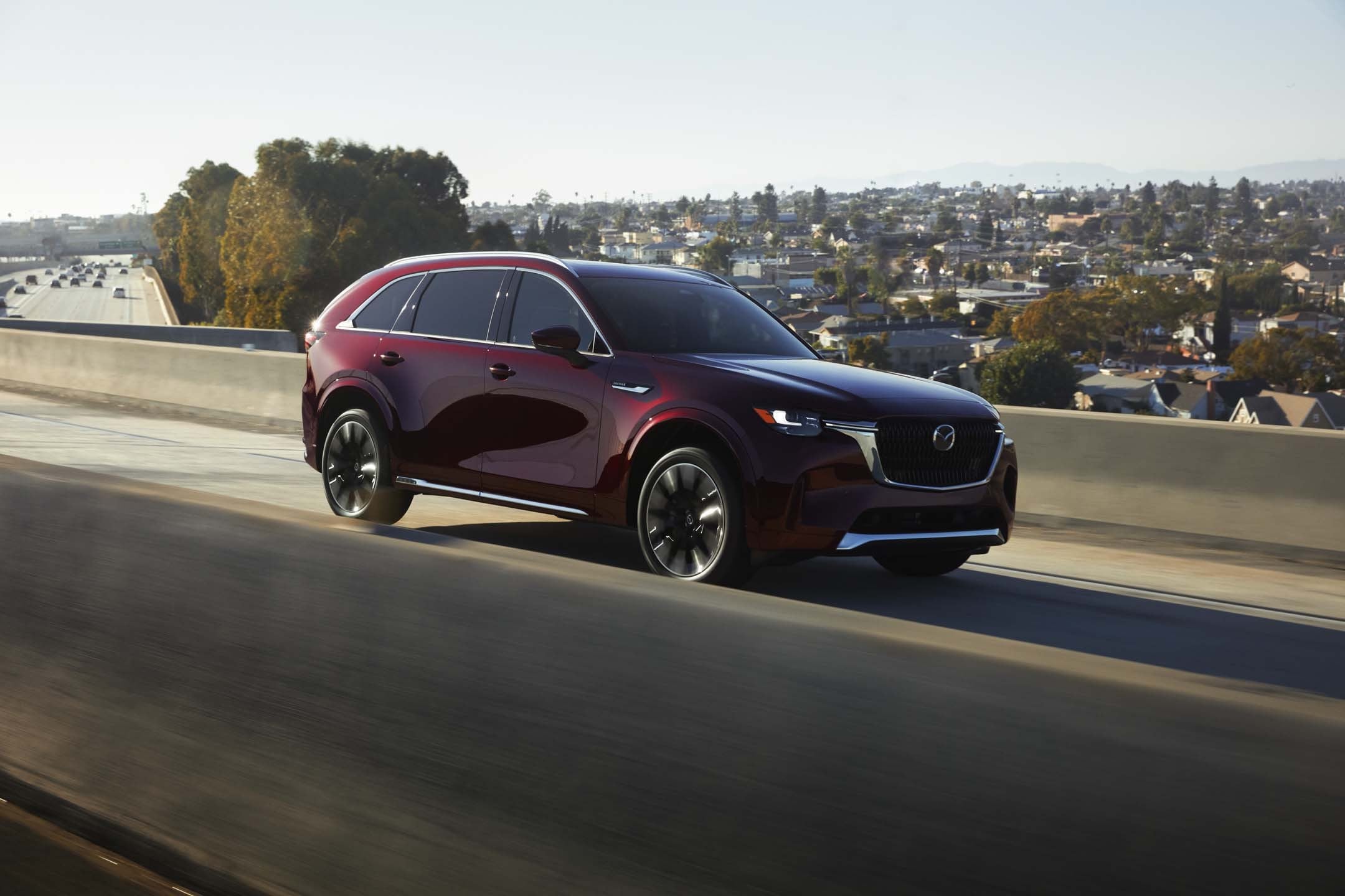 cx-90%206.jpg
