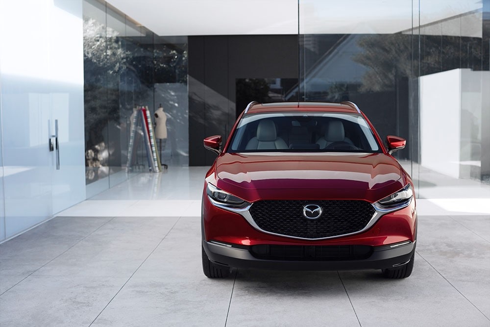 CX-30 3.jpg