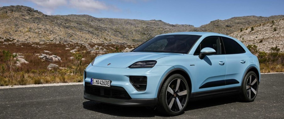 macan%202.jpg