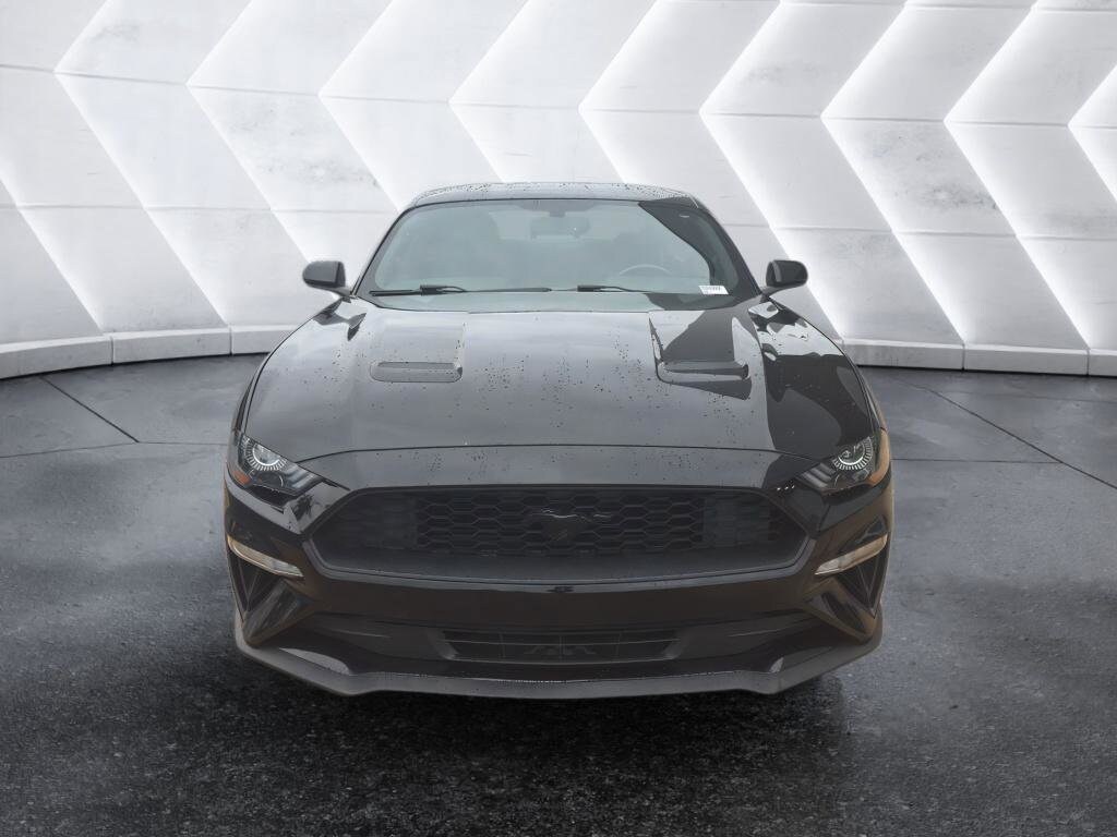 2020 Ford Mustang EcoBoost photo 2