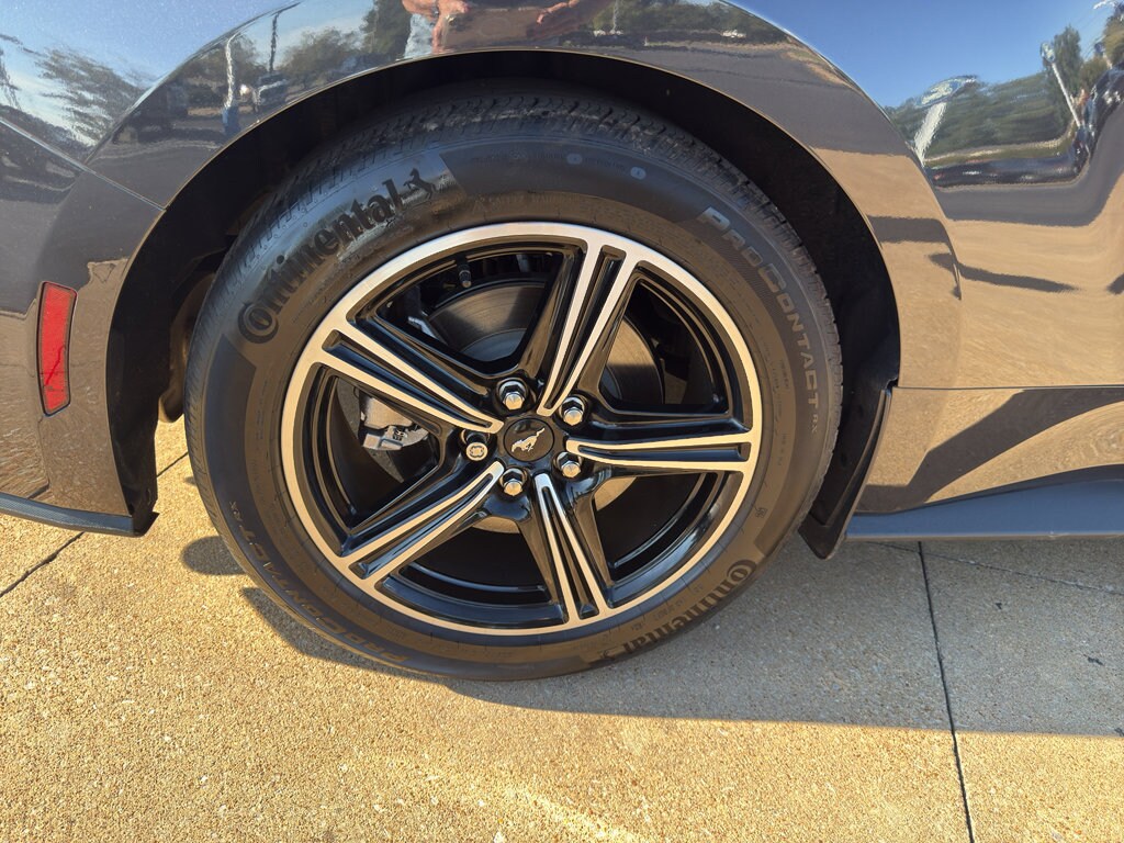 2024 Ford Mustang EcoBoost photo 2