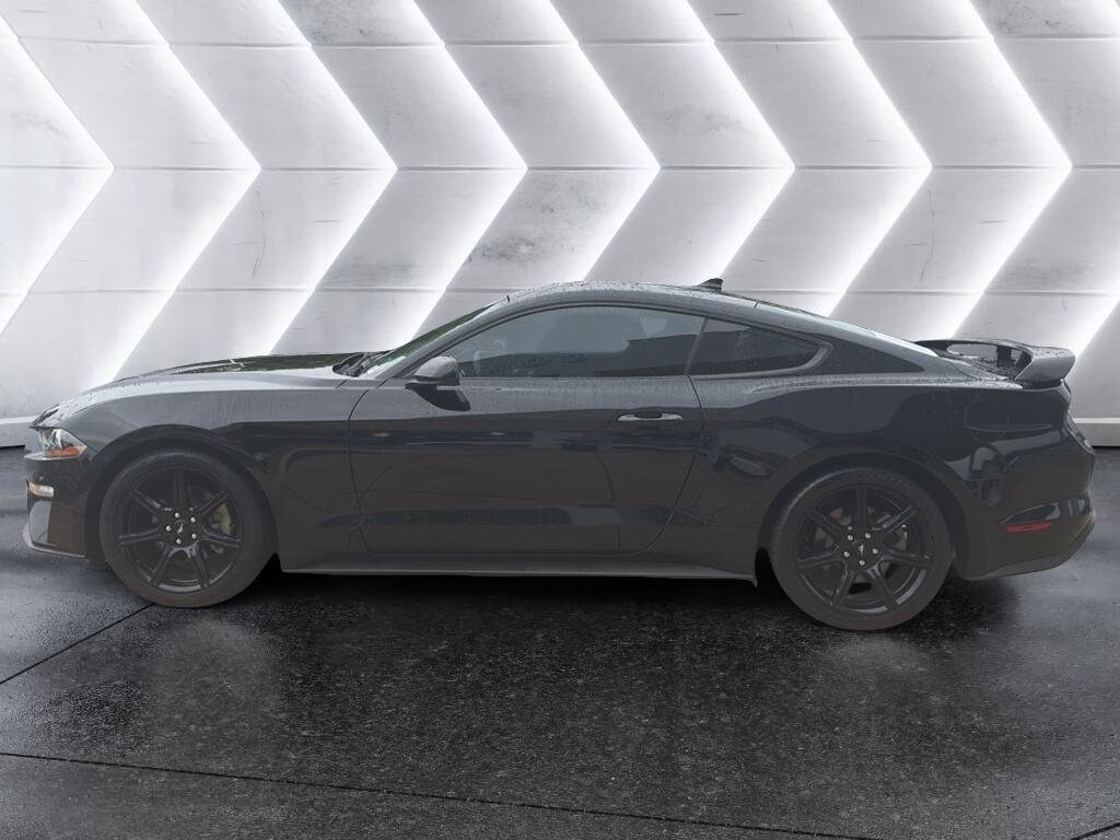 2020 Ford Mustang EcoBoost photo 3