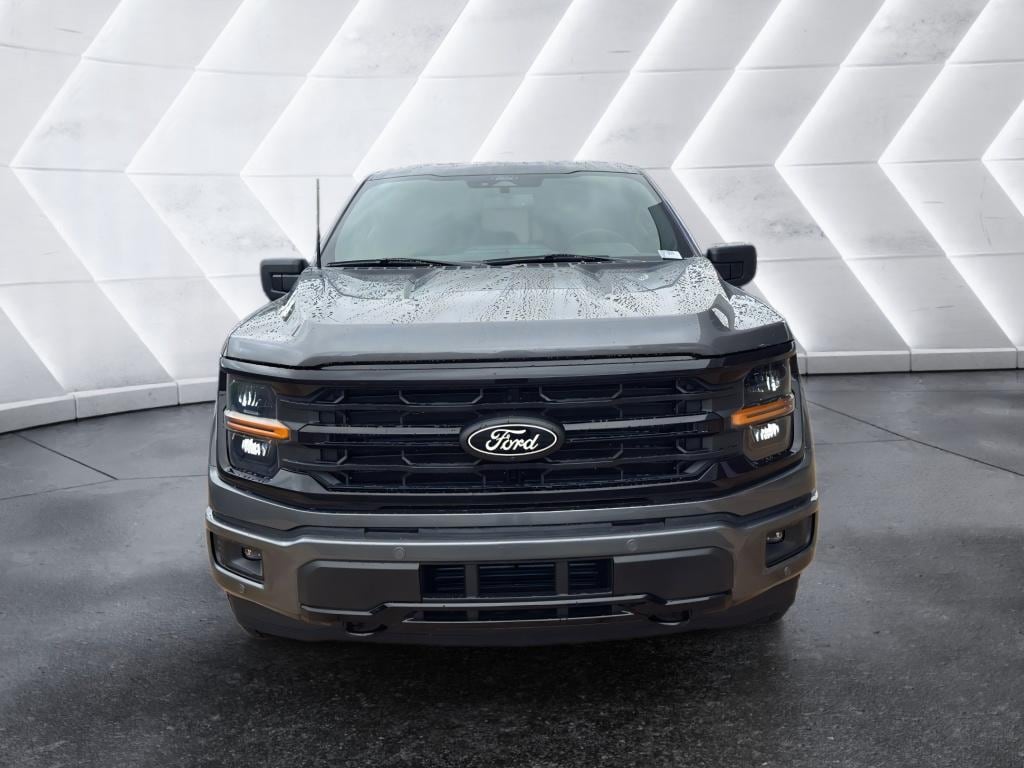 New 2025 Ford F-150 XLT Crew Cab