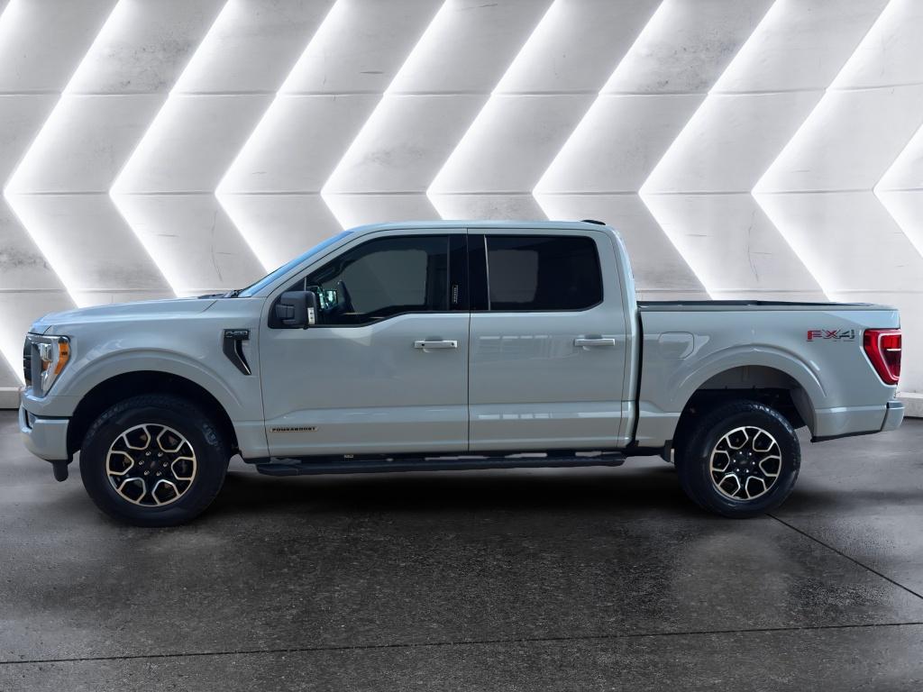 2023 Ford F-150 XLT photo 3