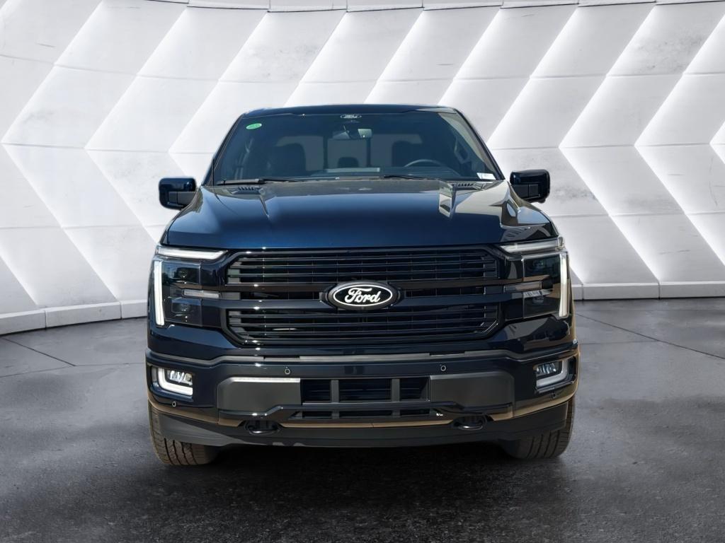 2025 Ford F-150 Platinum photo 3