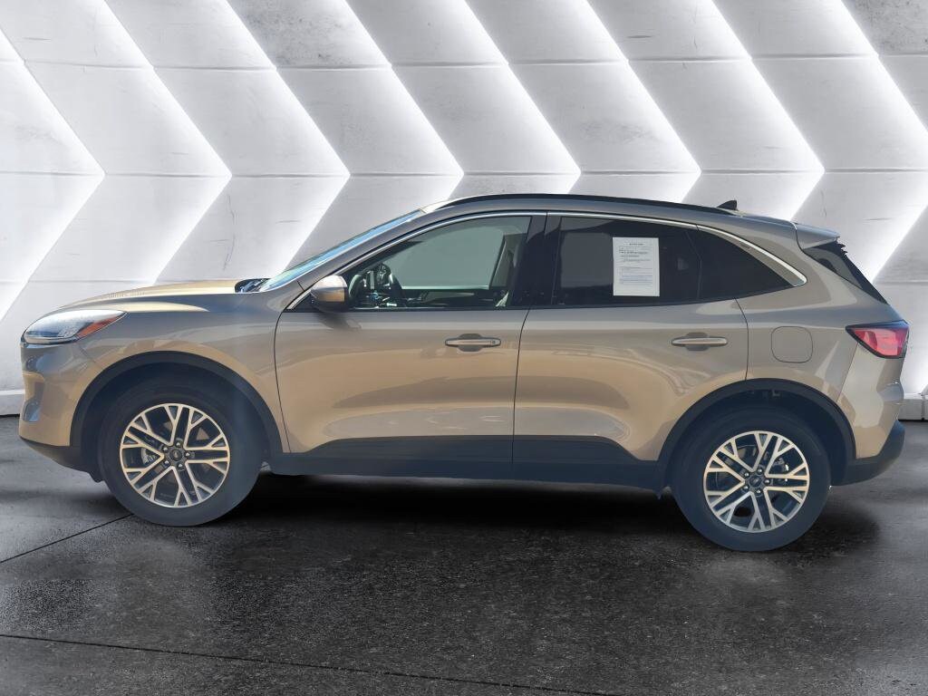 2021 Ford Escape SEL Hybrid photo 2