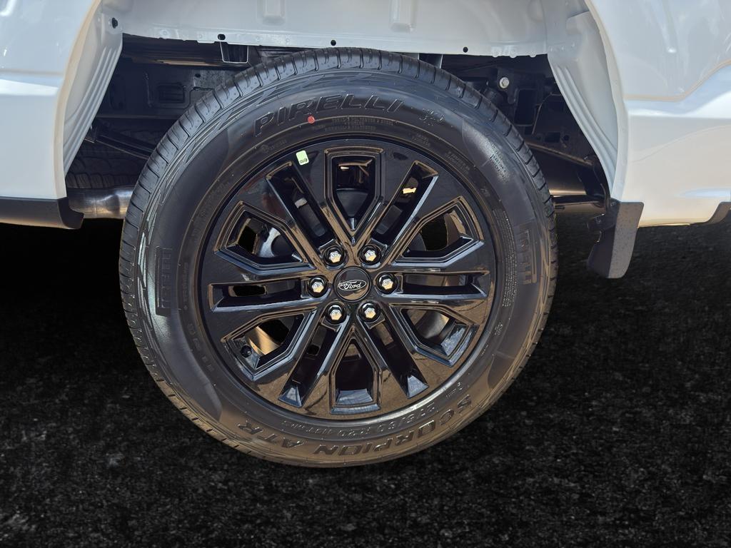 2025 Ford F-150 XLT - Photo 6