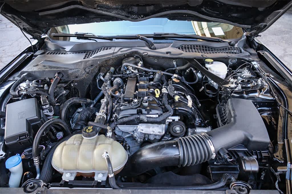 Thumbnail: 2022 Ford Mustang - 32