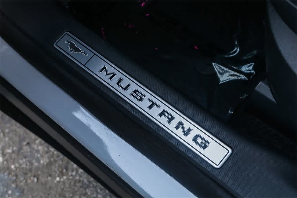 Thumbnail: 2023 Ford Mustang Mach-E - 25