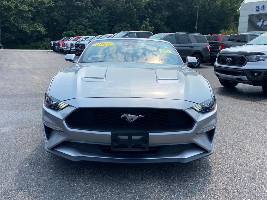 Used 2023 Ford Mustang EcoBoost Premium with VIN 1FATP8UH5P5108222 for sale in South Easton, MA