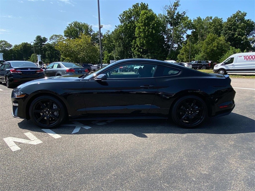 2019 Ford Mustang GT photo 4