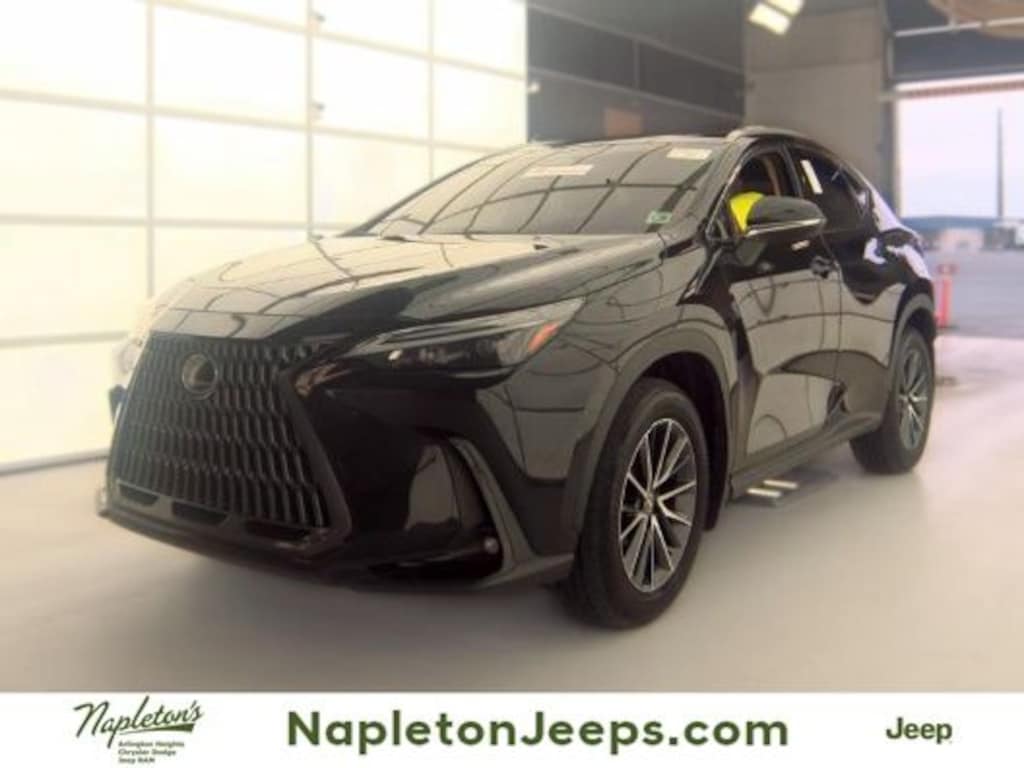 Used 2024 Lexus NX 350 SUV