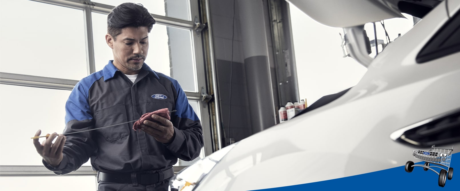 Ford Technician