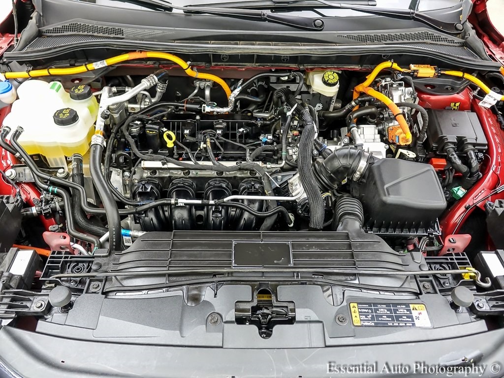 View 25