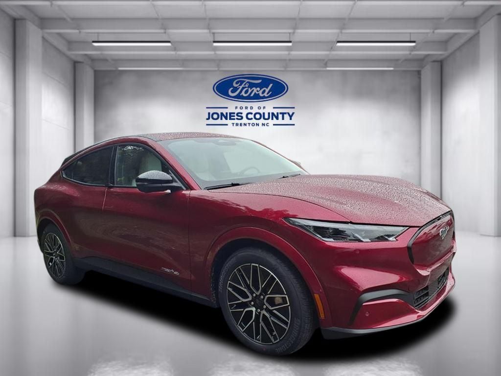 2025 Ford Mustang Mach-E Premium AWD's photo