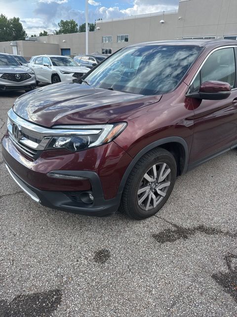 2019 Honda Pilot 2WD EX-L's photo