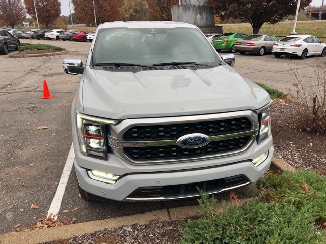 2023 Ford F-150 Platinum photo 3