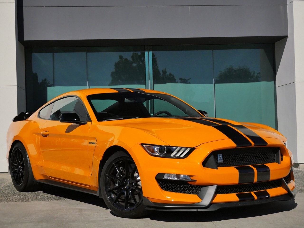 2019 Ford Mustang Shelby GT350