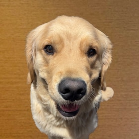 Staff member Donnie Iozzo  from ID_b3ac87