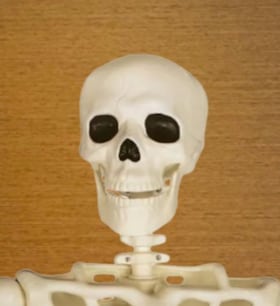 Staff member Jack Bailie from ID_bce4b491e4ec