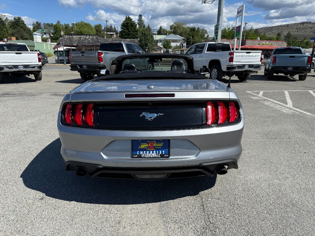 2022 Ford Mustang EcoBoost photo 3