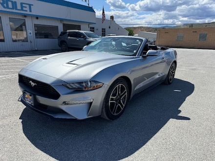 2022 Ford Mustang Ecoboost