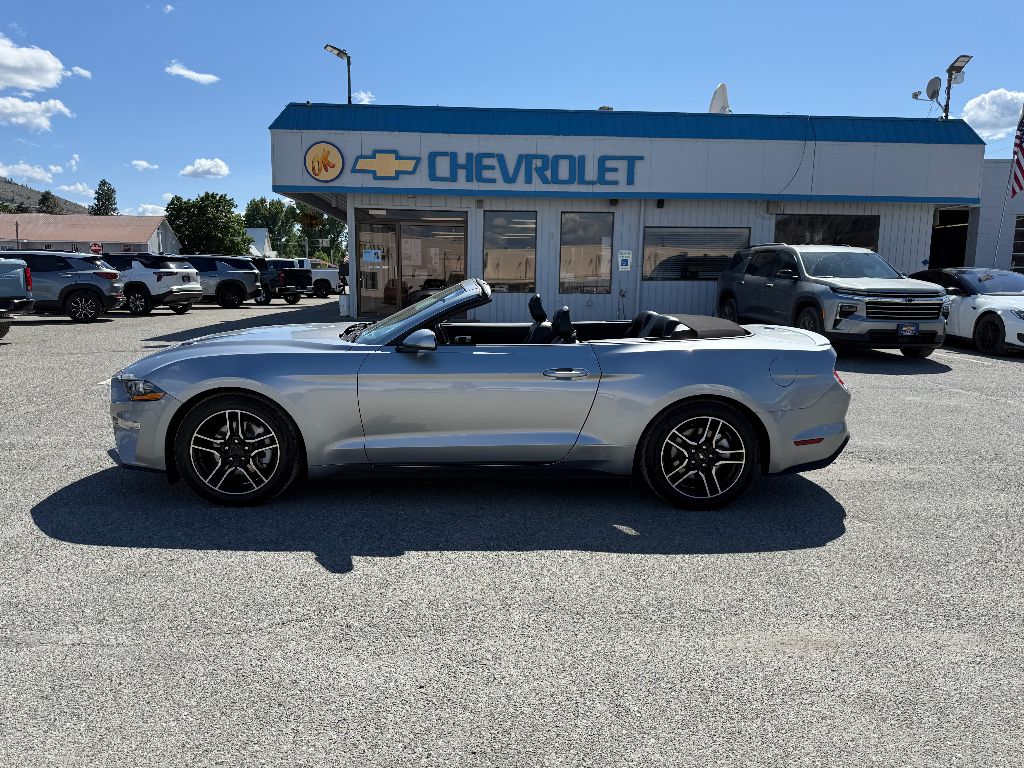 2022 Ford Mustang EcoBoost photo 2