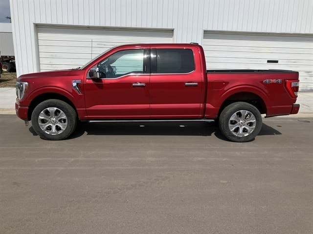 2023 Ford F-150 Platinum 4x4 SuperCrew 5-1/2 Box's photo