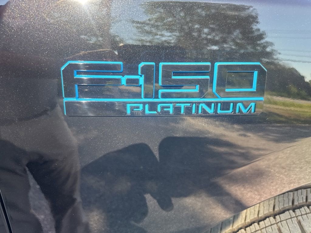 2025 Ford F-150 Lightning Platinum - Photo 17
