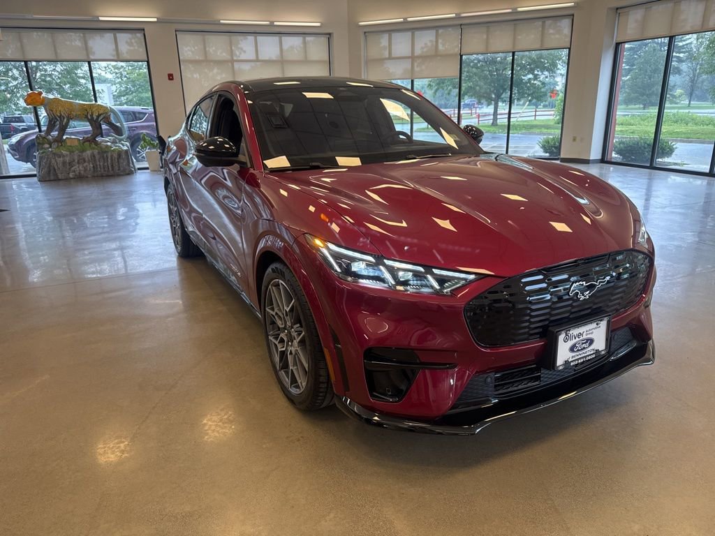 2025 Ford Mustang Mach-E GT - Photo 9