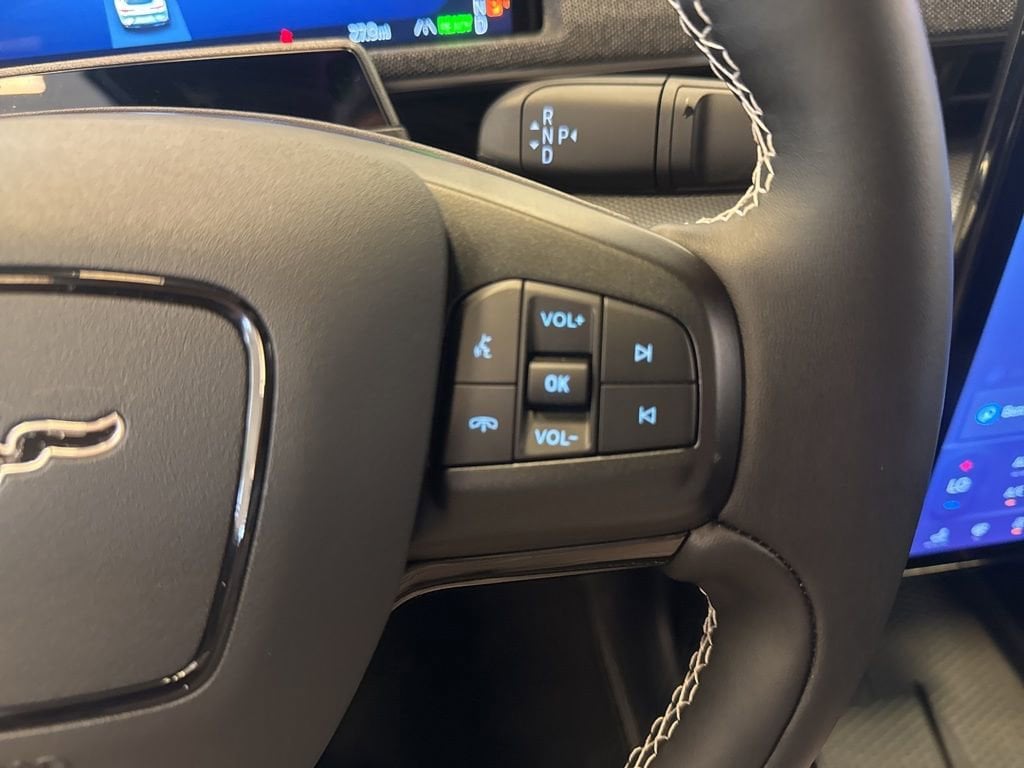 2025 Ford Mustang Mach-E GT - Photo 25