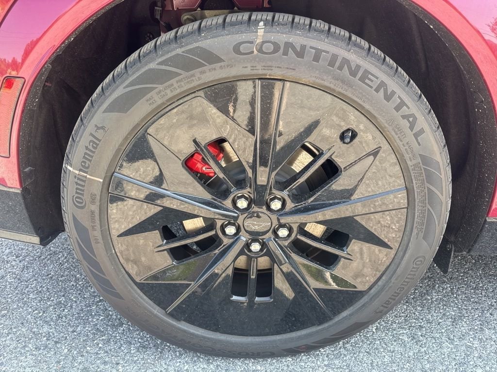 2025 Ford Mustang Mach-E GT - Photo 12