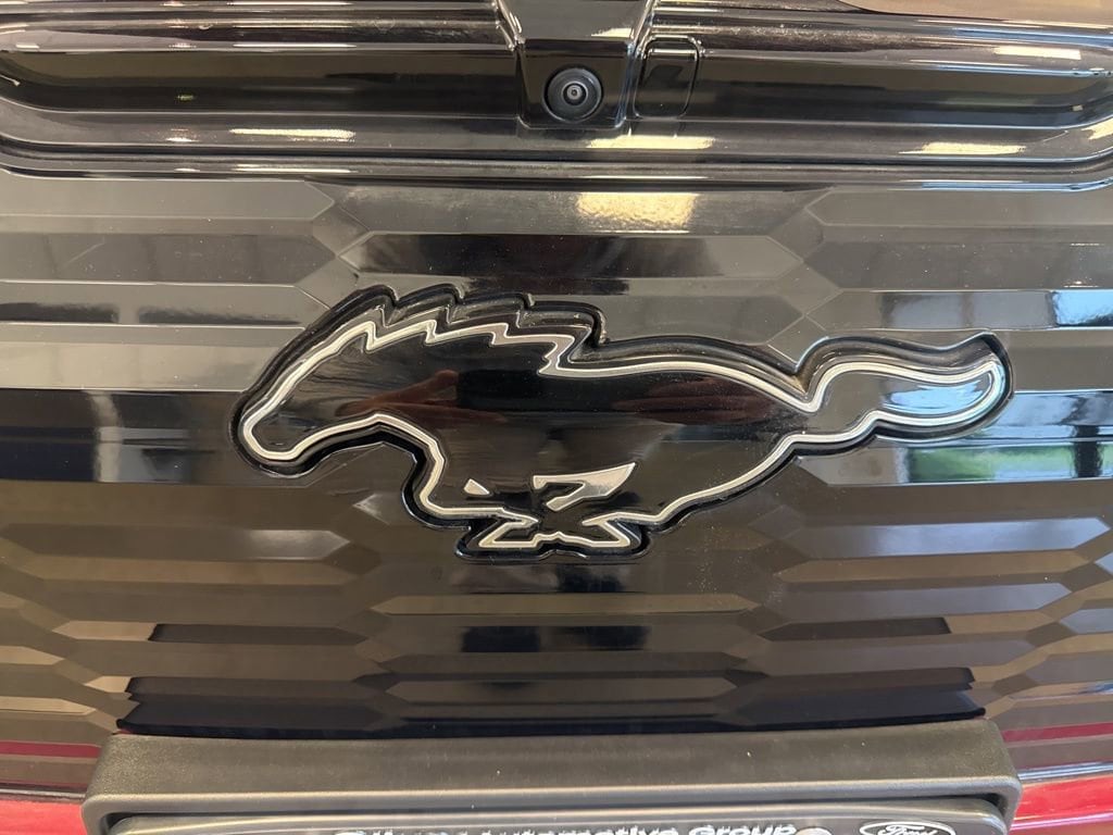 2025 Ford Mustang Mach-E GT - Photo 42