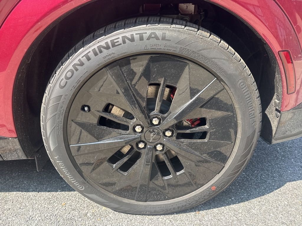 2025 Ford Mustang Mach-E GT - Photo 11