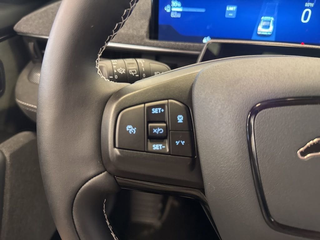 2025 Ford Mustang Mach-E GT - Photo 26